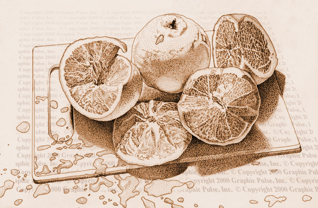 Oranges illustration