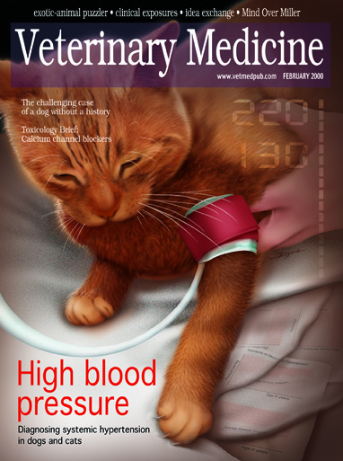Feline veterinary illustration